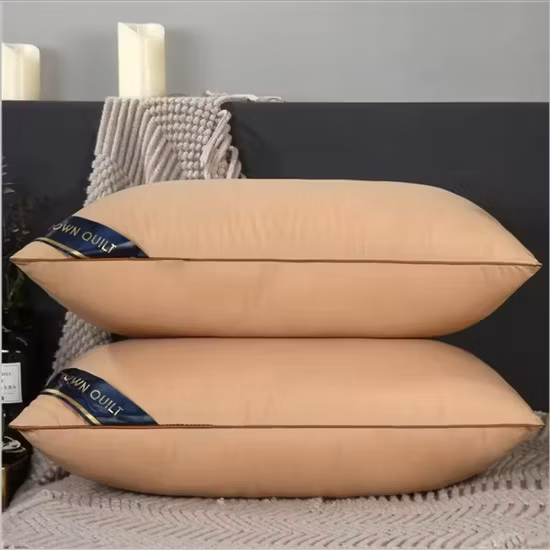 Proway 中国工場卸売最も人気のある SPA 浴槽クッション (EVA801)